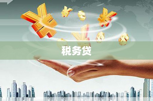 八里税务贷